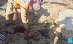 Attentat au Pakistan : au moins 44 morts, un rassemblement d'un Parti islamiste radical visé