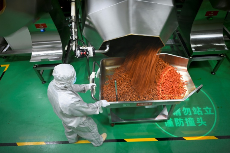 Un employé prépare des lamelles épicées pour leur conditionnement à l'usine Mala Wangzi du comté de Pingjiang, dans la province du Hunan, le 17 juin 2026 dans le centre de la Chine ( AFP / WANG Zhao )