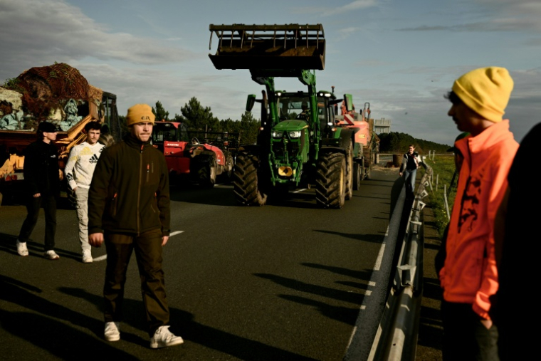 Des agriculteurs coupent l'autoroute A63 en Gironde dans les deux sens le 16 décembre 2025 ( AFP / Philippe LOPEZ )
