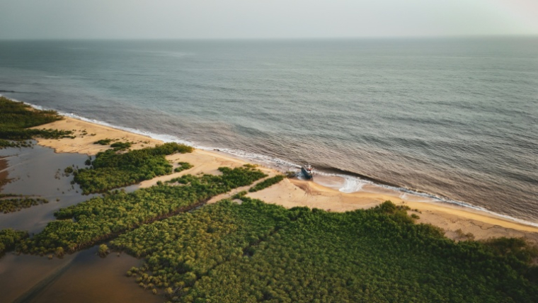 Une vue aérienne montre la déforestation de la mangrove à la lisière du littoral, près de Hamilton, le 12 avril 2026, en Sierra Leone ( AFP / Gemma Bonfiglioli )