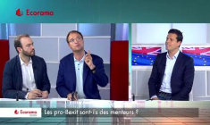 Les pro-Bexit sont-ils des menteurs ?