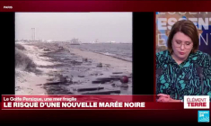 Risque d'une nouvelle marée noire dans le fragile écosystème du Golfe Persique