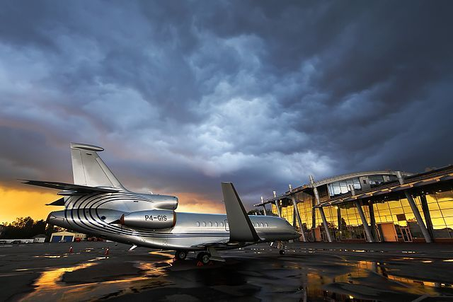 (Crédits photo : Wikimedia Commons / Oleg Belya -  )