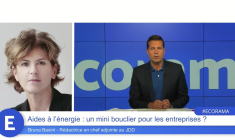 Aides à l'énergie : un mini bouclier pour les entreprises ?