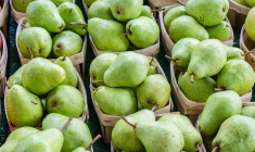 (Crédits photo : Unsplash - Jonathan Mast )