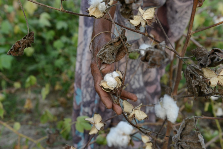 ( AFP / SAM PANTHAKY )