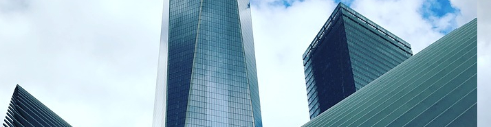 SCPI LF Opportunité Immo : un TDVM qui reste au-dessus du marché en 2020