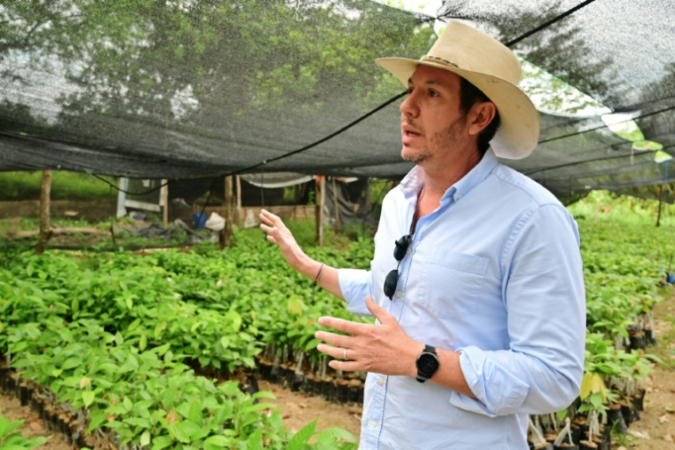 Le producteur de cacao Benjamin Rosales lors d'une interview avec l'AFP dans une ferme de Canton Cerecita, dans la province de Guayas, en Equateur, le 16 mai 2025 ( AFP / MARCOS PIN )