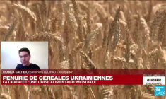 Pénurie de céréales ukrainiennes : la crainte d'une crise alimentaire mondiale ?