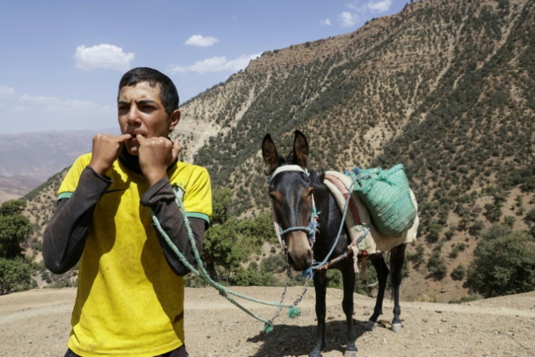 Un jeune du hameau d'Imzerri utilise la pratique ancienne du langage sifflé, permettant de communiquer à travers de vastes distances, le 19 août 2025 dans les montagnes de l'Atlas, au Maroc ( AFP / Abdel Majid BZIOUAT )