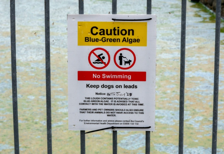 Une affiche alerte sur l'interdiction de se baigner dans le Lough Neagh, en Irlande du Nord, le 22 août 2025 ( AFP / Paul Faith )