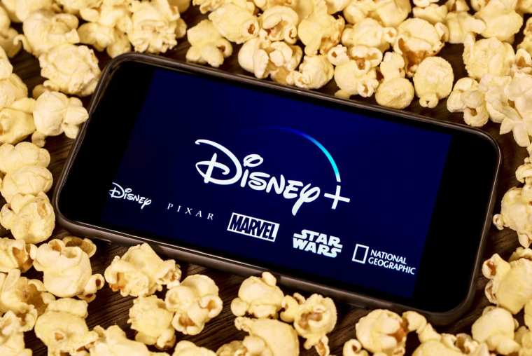 Les leaders de la Svod viennent de dévoiler les grands axes de leur stratégie numérique pour l’année 2021. crédit photo : Shutterstock