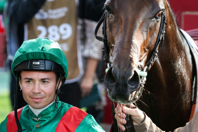 Mickaël Barzalona sur le pur-sang français Daryz remporte le Prix de l'Arc de Triomphe pour la deuxième année d'affilée, le 4 octobre 2026 sur l'hippodrome de Longchamp, à Paris ( AFP / MEHDI FEDOUACH )