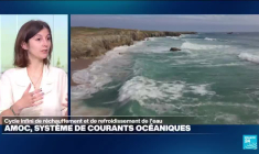 Qu'est-ce que l'"Amoc" qui montre des signes d'affaiblissement ?