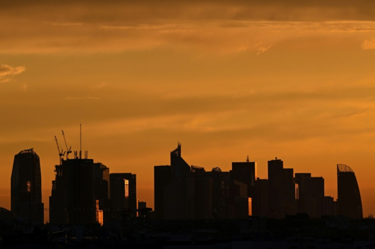 Le quartier d'affaires de la Défense, près de Paris, au coucher du soleil, le 19 juin 2024 ( AFP / Stefano RELLANDINI )