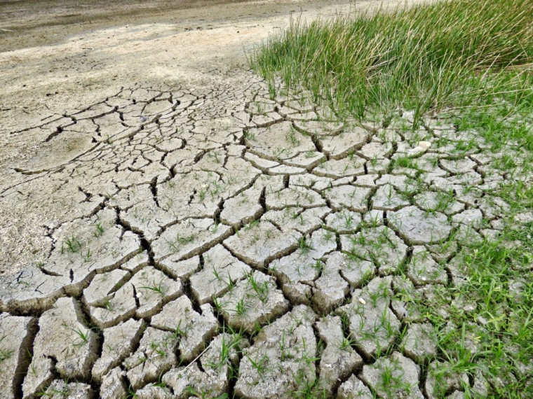 Les assureurs devraient dépenser 43 milliards d'euros entre 2020 et 2050 pour indemniser les dégâts liés à al sécheresse. Photo d'illustration. (jodylehigh Pixabay)
