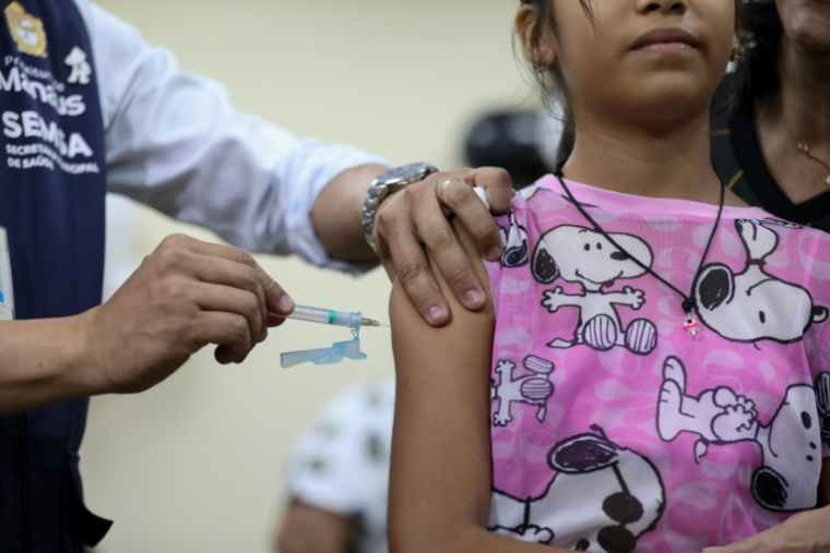 Une enfant reçoit une dose de vaccin contre la dengue à Manaus, dans l'Etat d'Amazonas, au Brésil, le 22 février 2024 ( AFP / Michael Dantas )