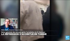 Tunisie : le décret-loi 54, "un glissement vers l'autoritarisme" ?