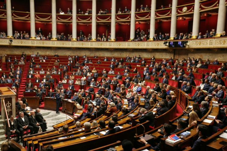 Le budget de la Sécurité sociale revient à l'Assemblée samedi, où il sera examiné en commission par les députés durant une seule journée ( AFP / Thomas SAMSON )