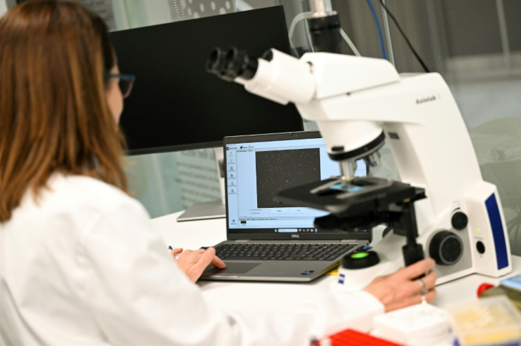 Justine O'Brien, responsable des sciences de la conservation à la Taronga Conservation Society Australia, examine des échantillons de gamètes de corail dans un laboratoire de Sydney, le 29 mai 2025 en Australie ( AFP / Saeed KHAN )