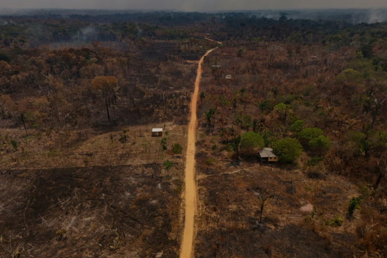 Une zone ravagée par les flammes à Autazes, dans l'État d'Amazonas, au Brésil, le 9 octobre 2026 ( AFP / MICHAEL DANTAS )