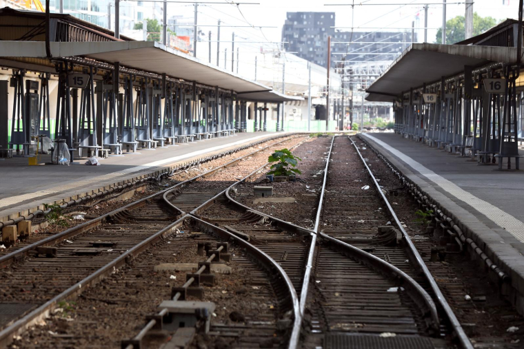 La région a ouvert à la concurrence la totalité des 17 lignes de TER ( AFP / THOMAS SAMSON )