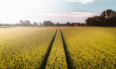 (Crédits photo : Unsplash - Alexis Antoine )