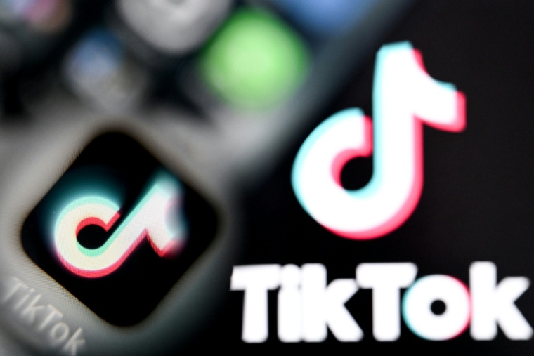 Une infirmière de Montreuil (Seine-Saint-Denis), mise en examen l'été dernier pour avoir tourné puis diffusé sur TikTok des vidéos de nourrissons à caractère pédopornographique, va être radiée de la profession ( AFP / Kirill KUDRYAVTSEV )