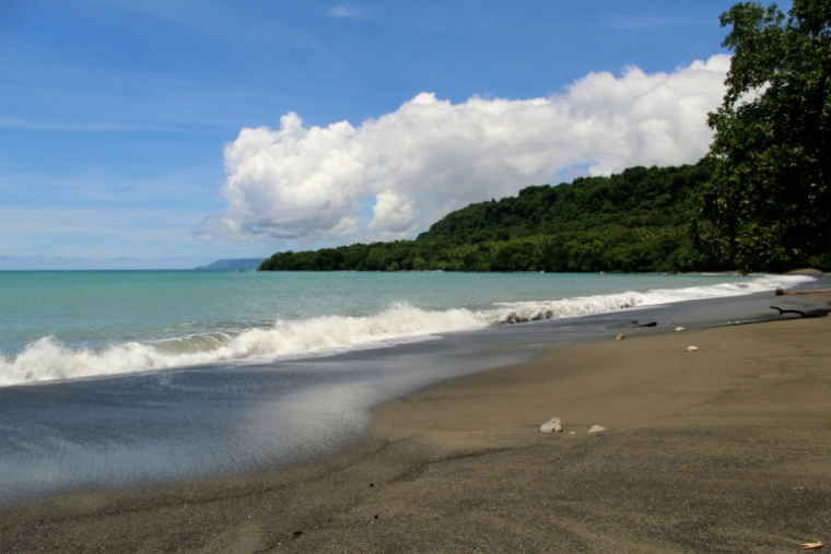 Une plage à Matantas, dans la zone protégée de Vatthe, sur l'île d'Espiritu Santo, au Vanuatu, le 1er février 2026 ( AFP / Chris McCALL )