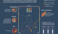 Explication de la méthode d'exécution via injection létale, montrant les différentes parties du corps ciblées par les substances utilisées en Floride ( AFP / Jean-Michel CORNU )