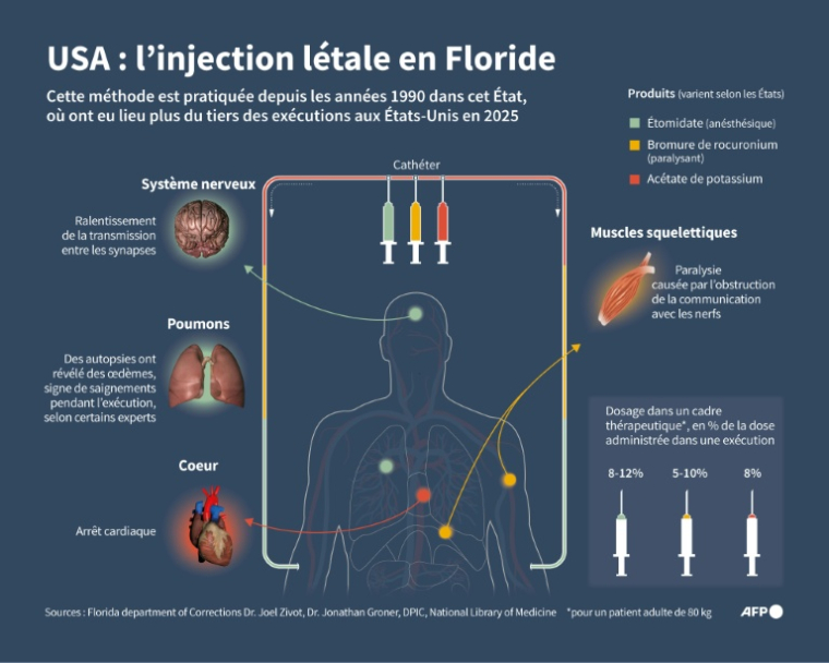 Explication de la méthode d'exécution via injection létale, montrant les différentes parties du corps ciblées par les substances utilisées en Floride ( AFP / Jean-Michel CORNU )
