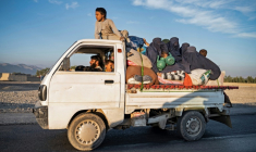 Des réfugiés afghans se dirigent vers un camp près de la frontière, entre l'Afghanistan et le Pakistan, à Torkham vers Jalalabad, après leur expulsion du Pakistan, le 12 novembre 2023 ( AFP / Wakil KOHSAR )