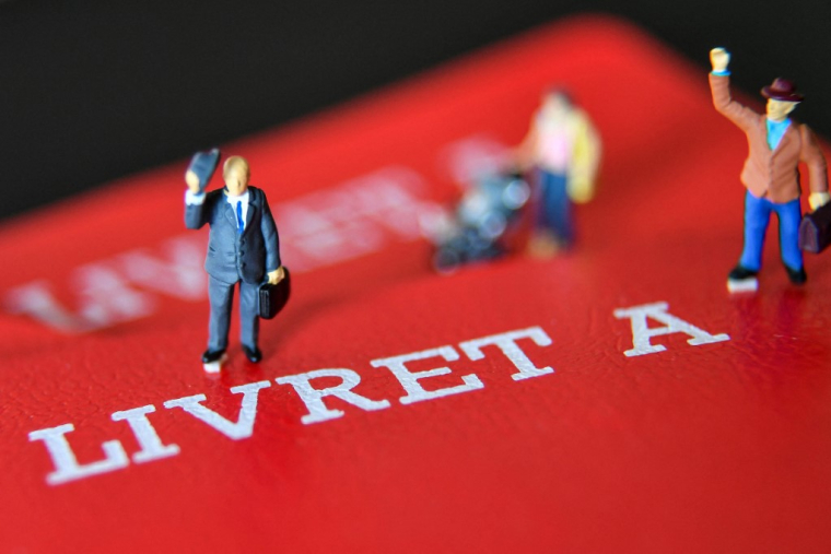 ( AFP / DENIS CHARLET )