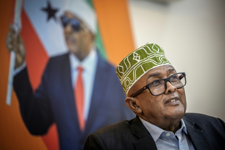 Le candidat du parti Wadani à la présidentielle du Somaliland, Abdirahman Mohamed Abdullahi, dit "Irro", le 10 novembre 2024 à Hargeisa ( AFP / LUIS TATO )