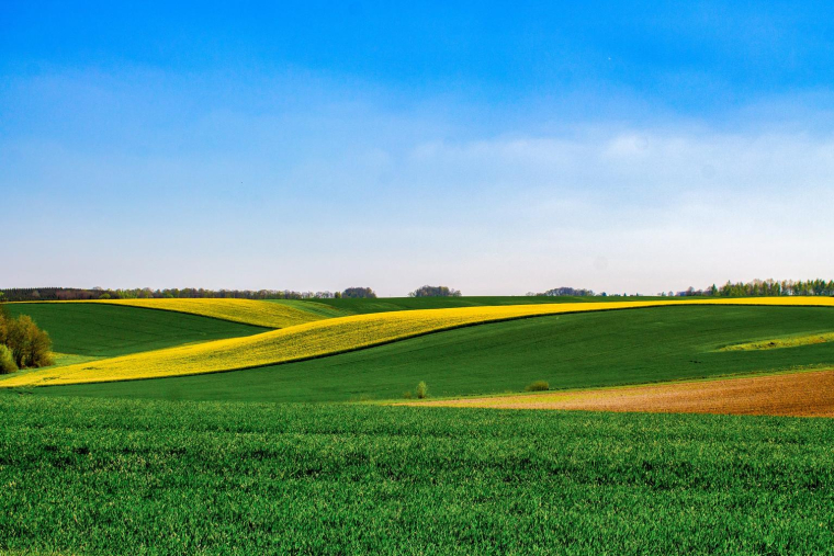 Acheter des terres agricoles, des vignes ou encore une forêt constitue un investissement durable et porteur de sens crédit photo : GettyImages