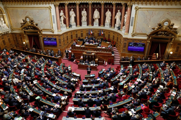 Le Sénat à Paris, le 14 novembre 2023 ( AFP / Geoffroy Van der Hasselt )