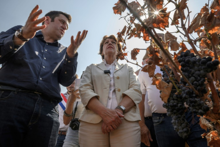La ministre de l'Agriculture Annie Genevard (C) en visite le 14 août 2025 dans le village viticole de Saint-Laurent-de-la-Cabrerisse (Aude) touché une semaine auparavant par un incendie dévastateur ( AFP / Ed JONES )