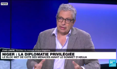 Niger : la Cédéao privilégie la diplomatie sans écarter un recours à la force