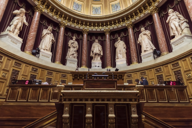 Statut de la Corse : le Sénat rejette la réforme, le camp autonomiste claque la porte ( AFP / LIONEL BONAVENTURE )