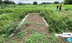 Nouvelle-Calédonie : 34e anniversaire de la signature des accords de Matignon