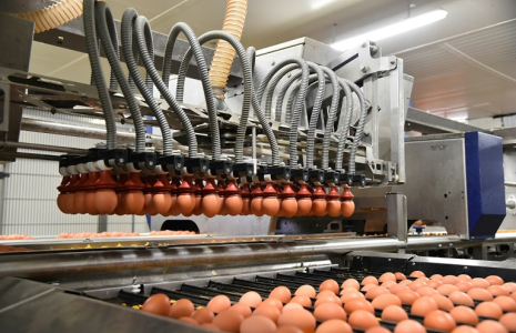 Une ligne d'emballage d'oeufs dans une usine Fermiers Loué à La Bazoge, dans le nord-ouest de la France, le 30 mars 2018 ( AFP / JEAN-FRANCOIS MONIER              )