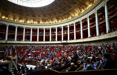 Les députés ont supprimé vendredi une disposition du texte relatif au droit à l'aide à mourir, selon laquelle les patients qui y auraient recours seraient ensuite "réputés décédés de mort naturelle" sur leurs certificats de décès ( AFP / Anne-Christine POUJOULAT )