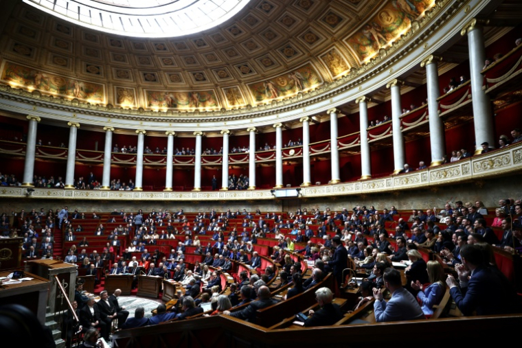 Séance à l'Assemblée nationale, le 1er avril 2025 à Paris ( AFP / Anne-Christine POUJOULAT )