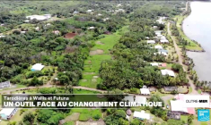 Le nombre de cas de chikungunya explose à La Réunion