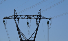 Un pic de plus de 82 GW a été atteint à 19h ( AFP / DAMIEN MEYER )