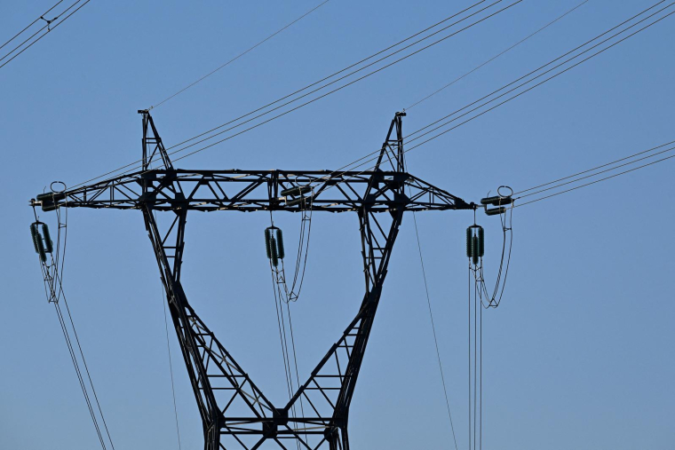 Un pic de plus de 82 GW a été atteint à 19h ( AFP / DAMIEN MEYER )