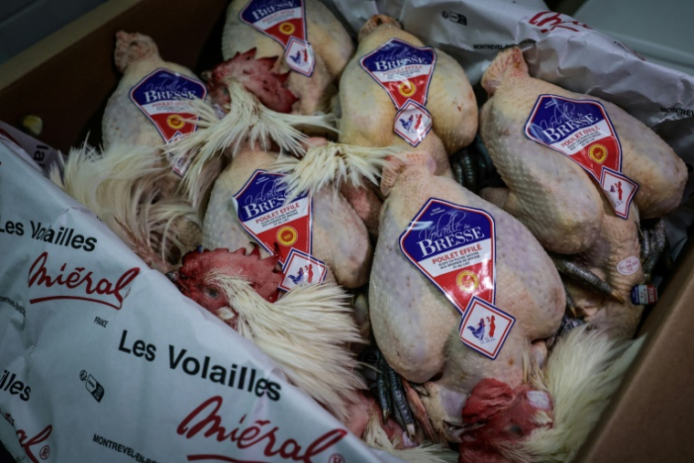Des poulets de Bresse au Marché international de Rungis, à Rungis dans le Val-de-Marne au sud de Paris, le 10 décembre 2025 ( AFP / STEPHANE DE SAKUTIN )