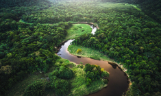 Fund Insight ODDO BHF Green Planet- Décembre 2022