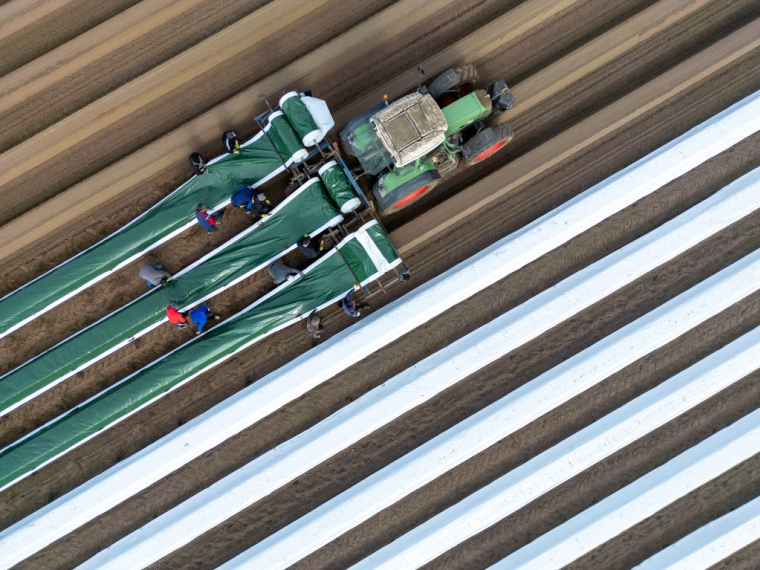 La PAC en cours (2021-2027) répartit notamment 270 milliards d'aides directes aux agriculteurs ( AFP / RALF HIRSCHBERGER )