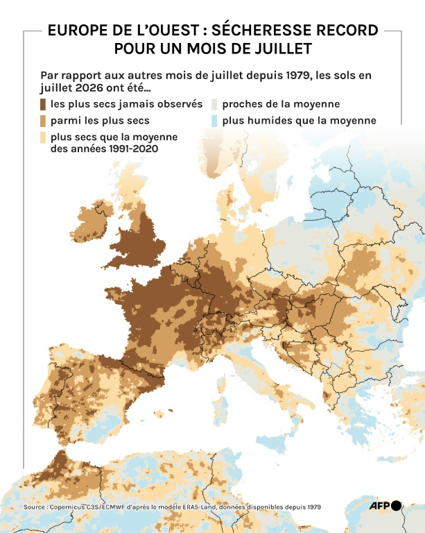 Europe de l'Ouest : sécheresse record pour un mois de juillet ( AFP / Valentin RAKOVSKY )